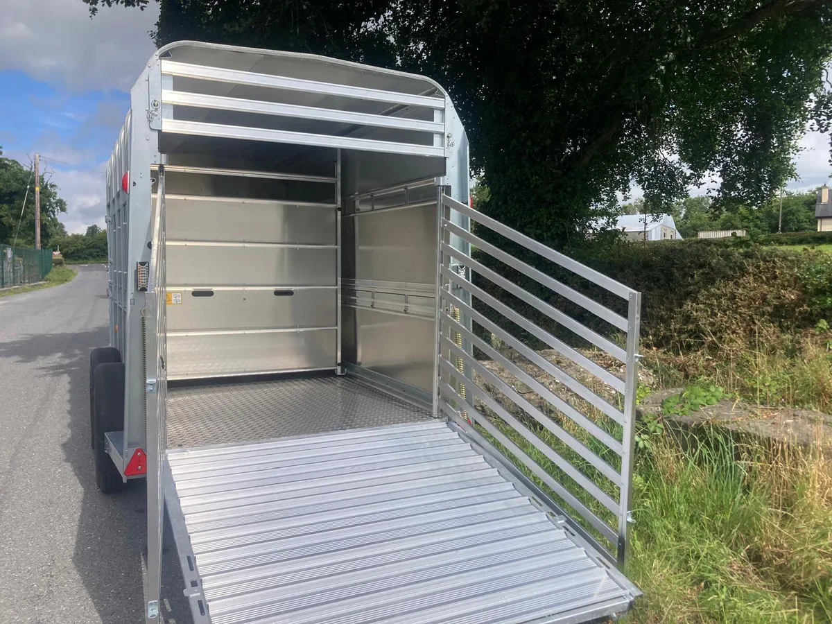 New Ifor Williams 12x7 High Horsebox Trailer - Image 4
