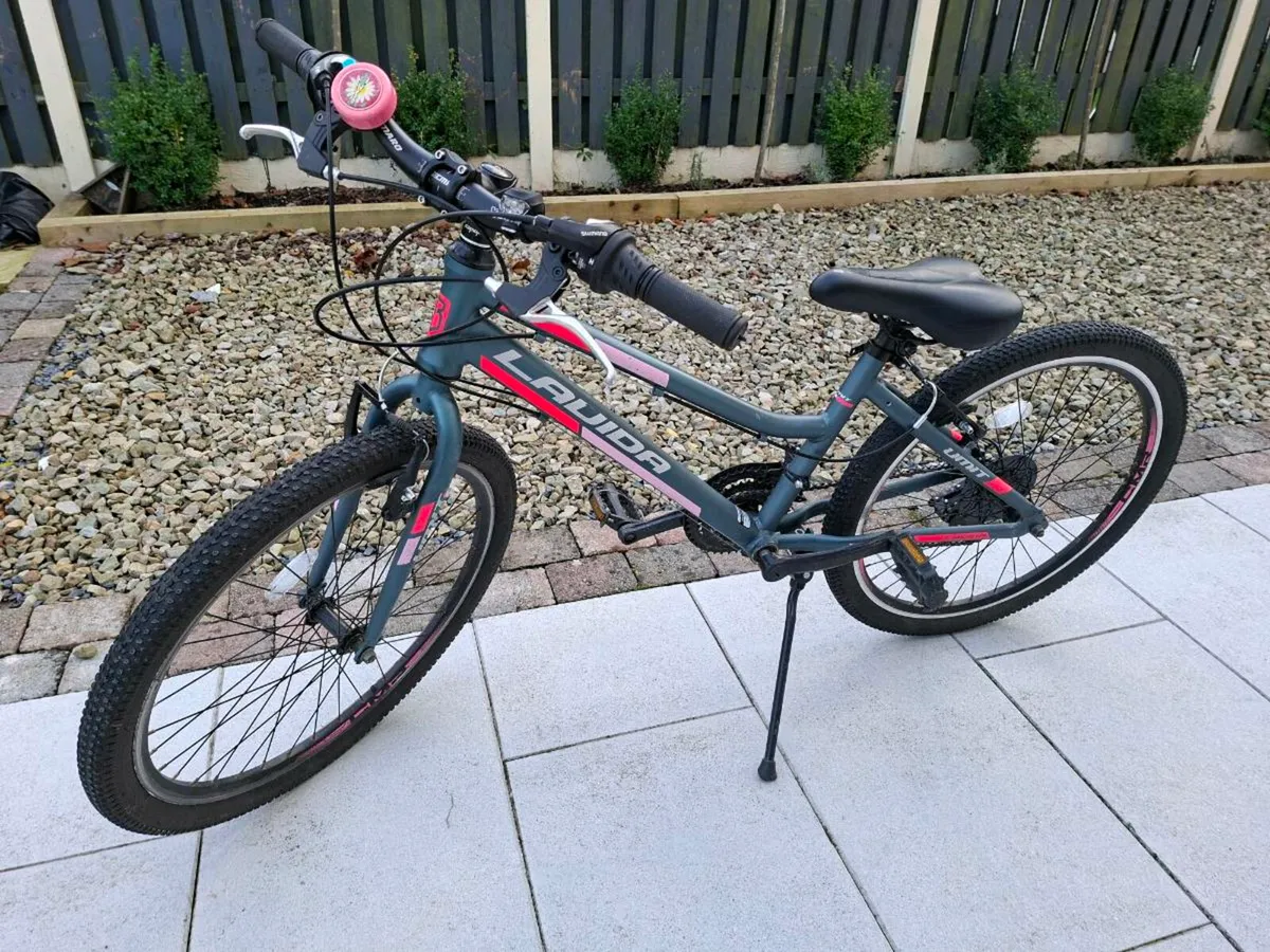 Lavida girls bike - Image 1