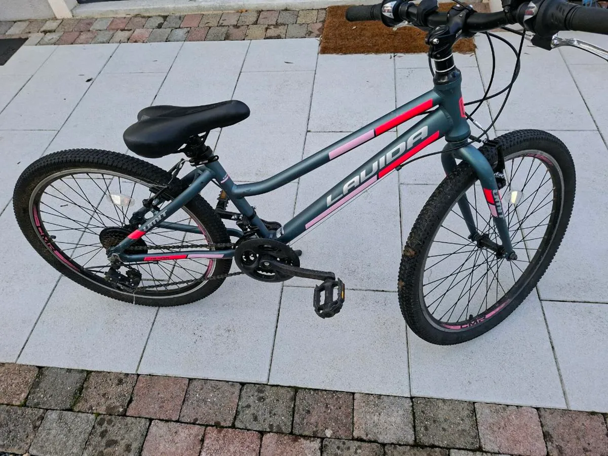 Lavida girls bike - Image 2