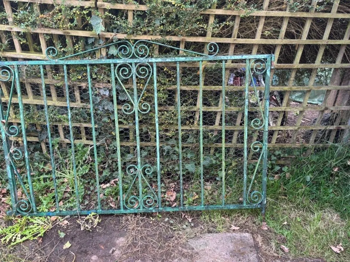 Set of Iron Gates for house/lane entrance - Image 3