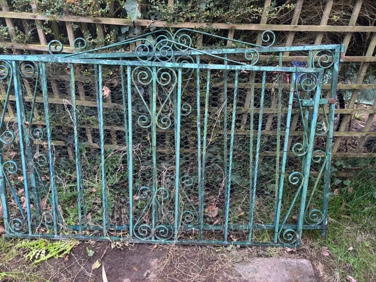 Set of Iron Gates for house/lane entrance - Image 2