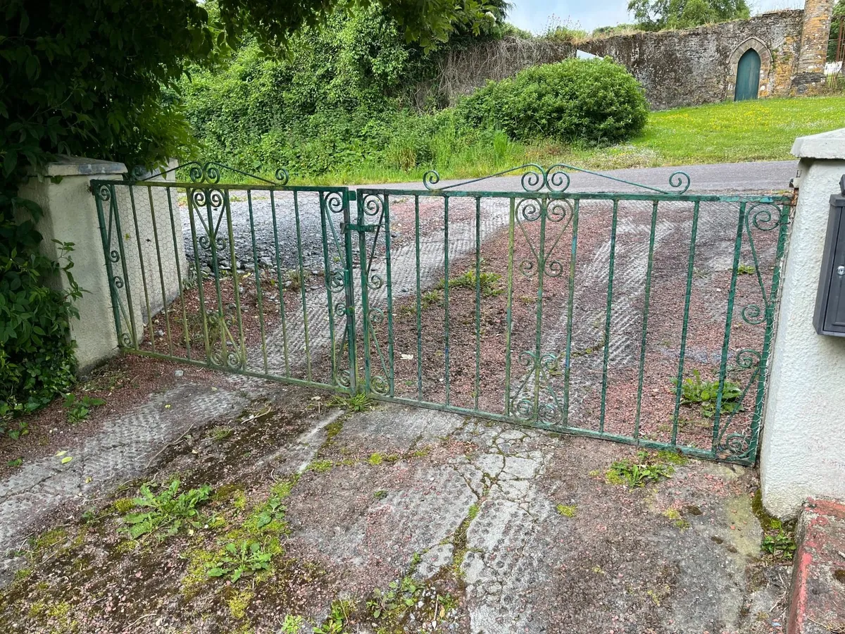 Set of Iron Gates for house/lane entrance - Image 1