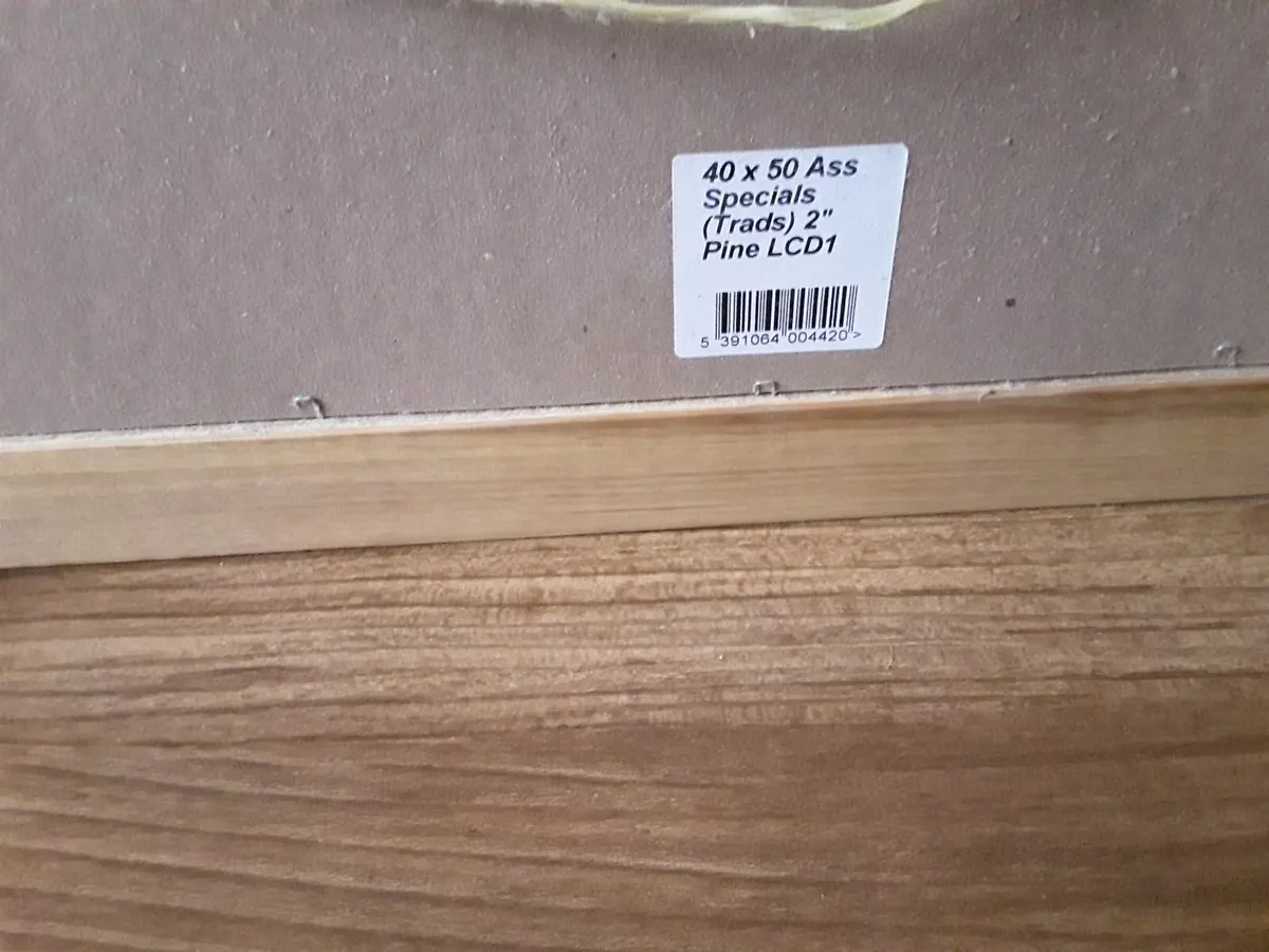 Lovely picture of dogs - Image 4