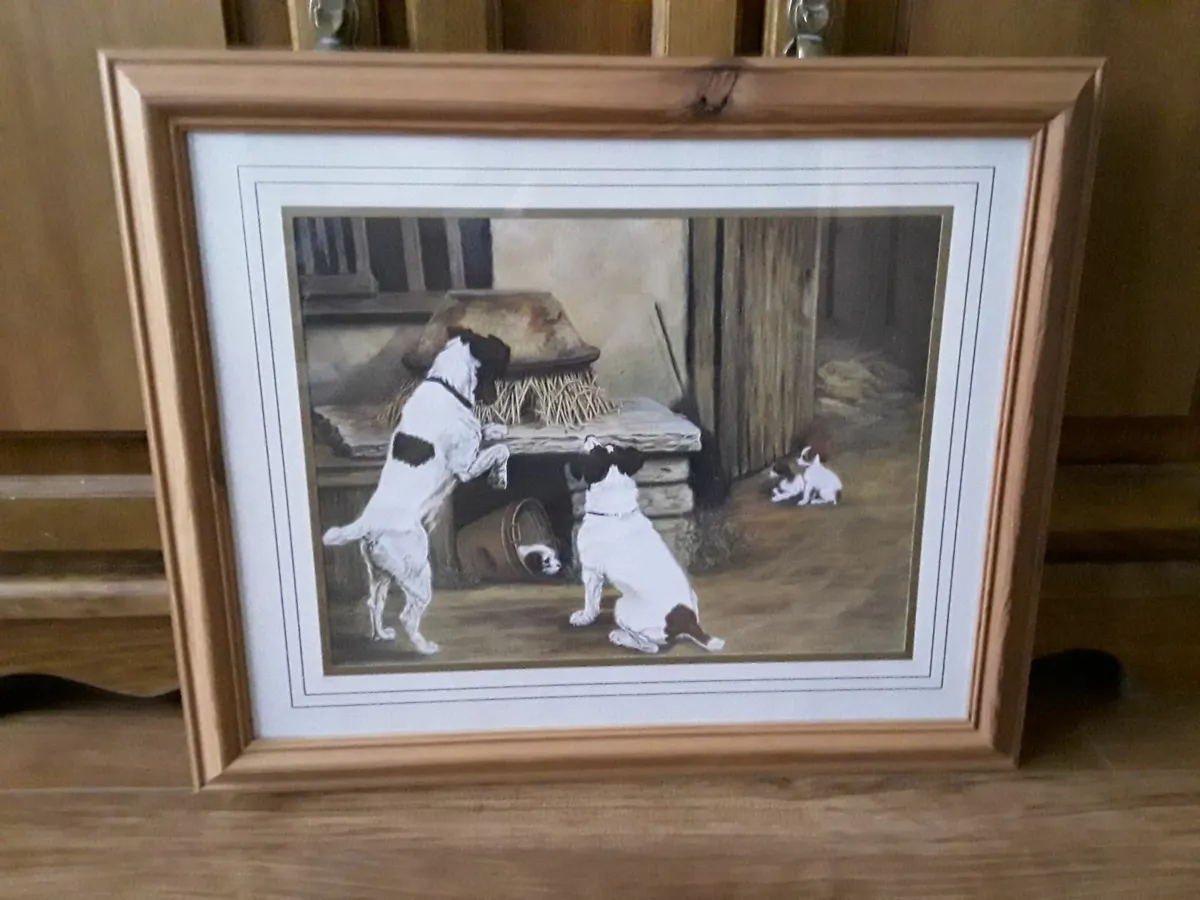 Lovely picture of dogs - Image 1