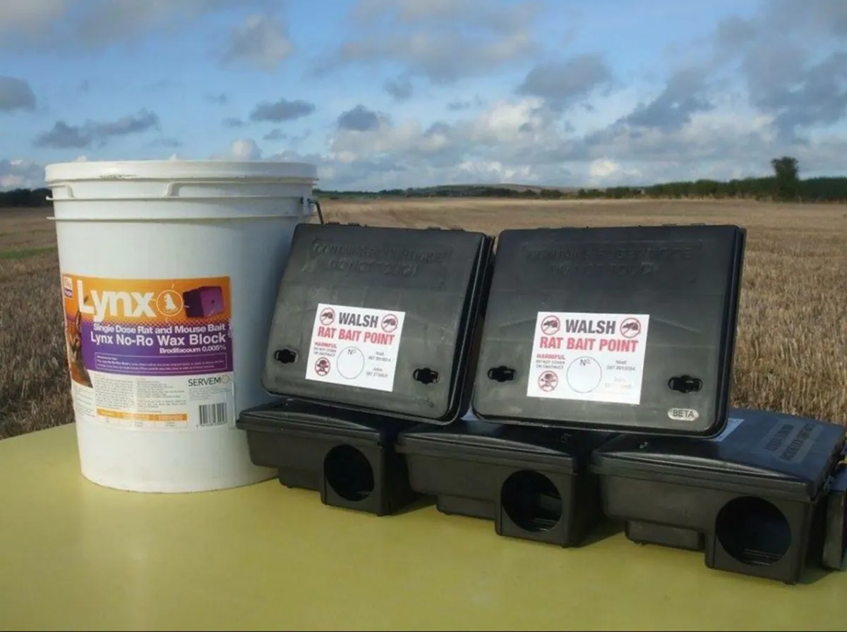 Rat killer / Rat Poison - Image 2