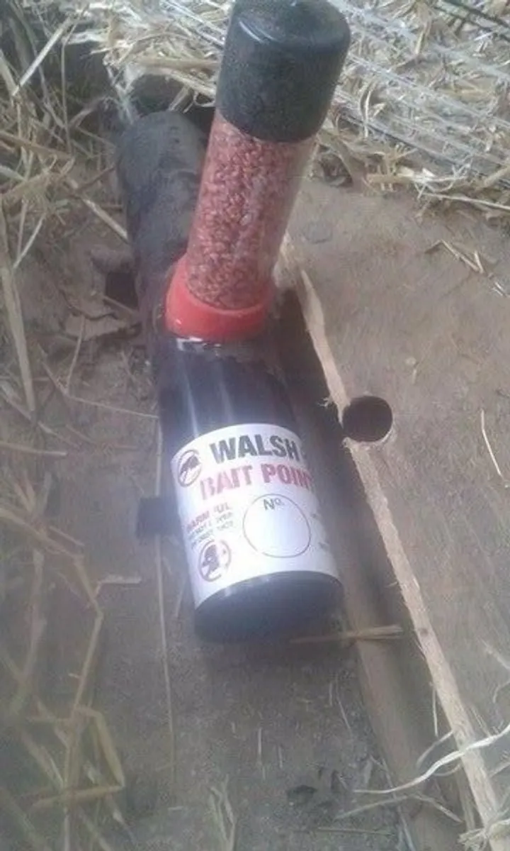 Rat killer / Rat Poison - Image 4