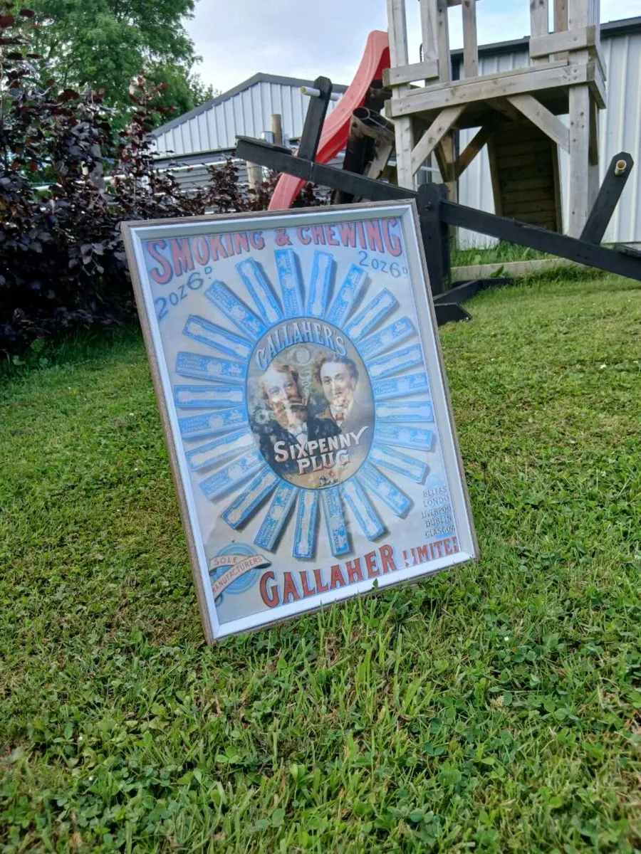 Gallaghers Sixpenny Plug Advert - Image 3