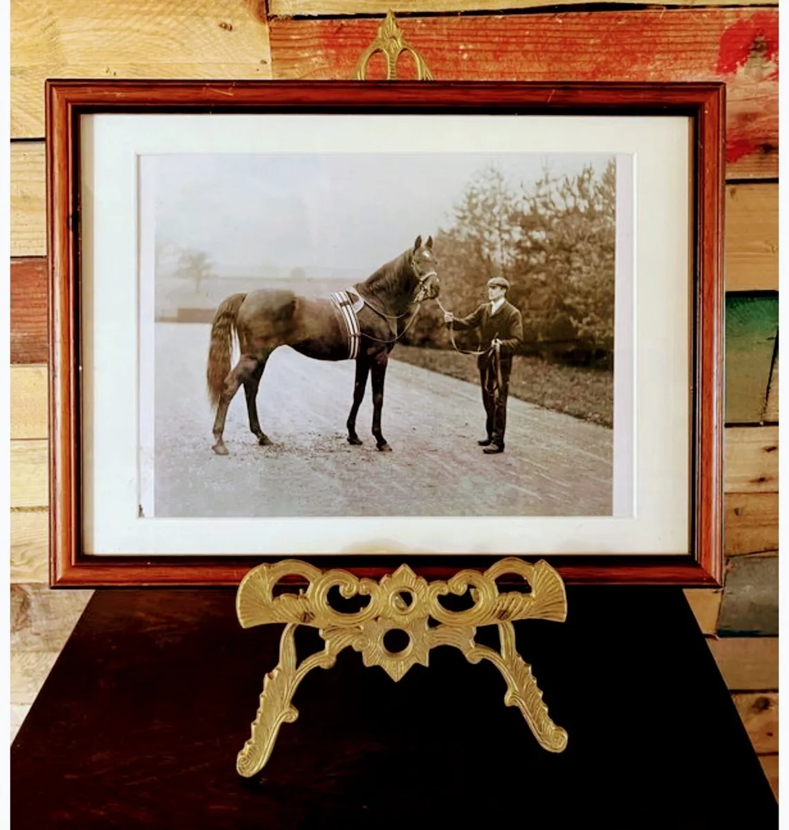Framed racehorse print St. Simon