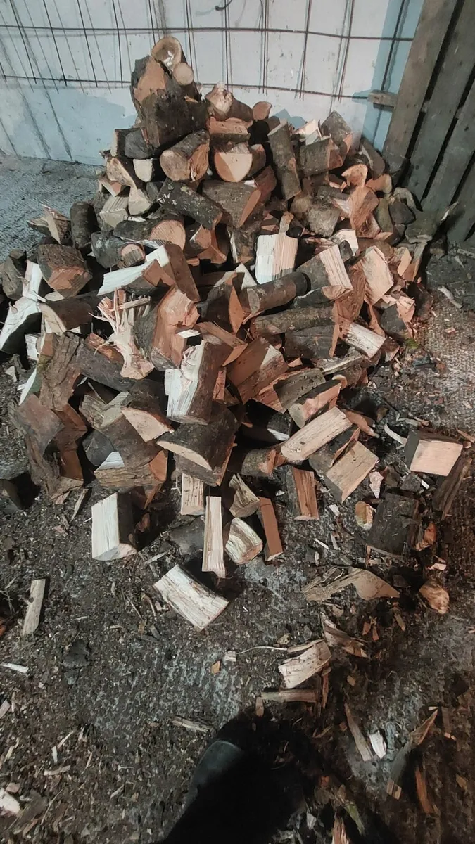 Firewood - Image 3