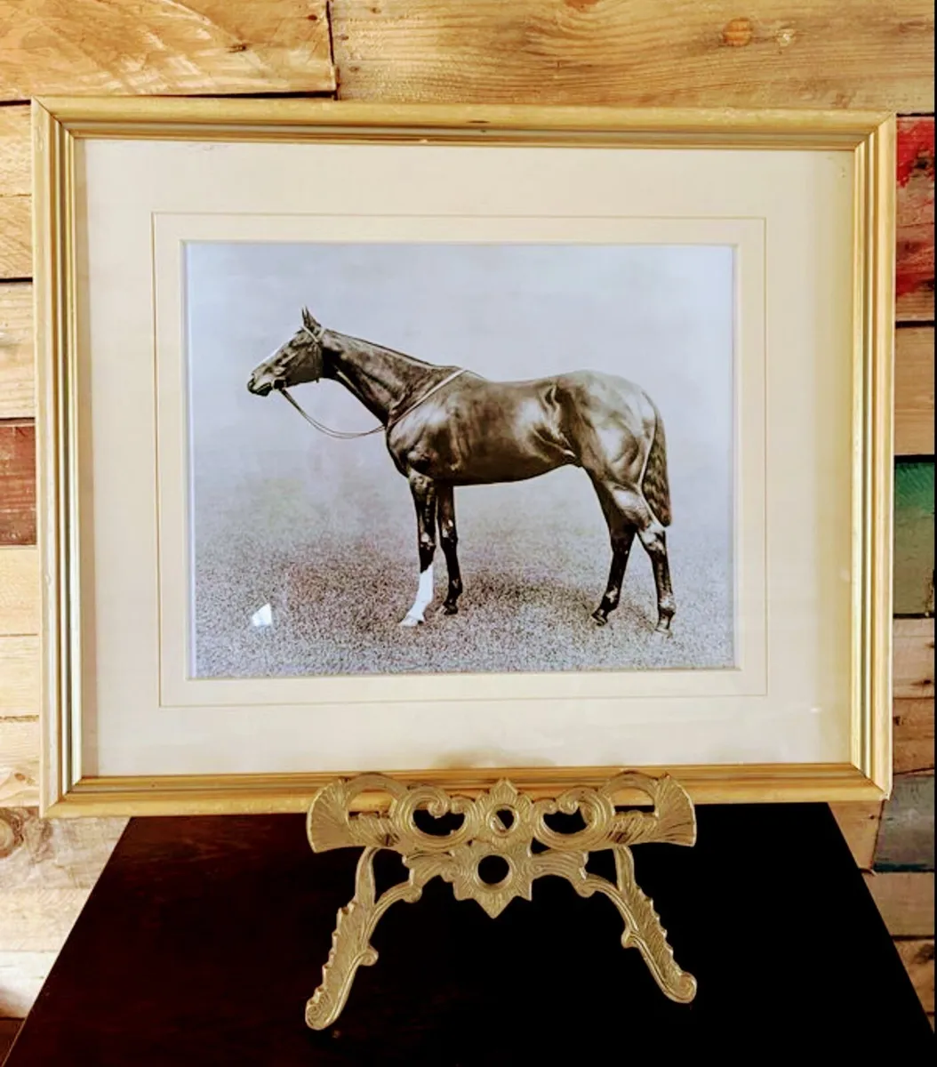 Framed racehorse print Spearmint