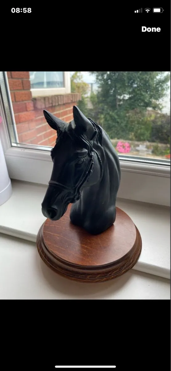 Vintage Black Resin Horse Head Display - Image 2