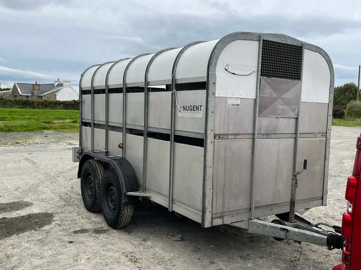 Nugent12x6 - Image 1