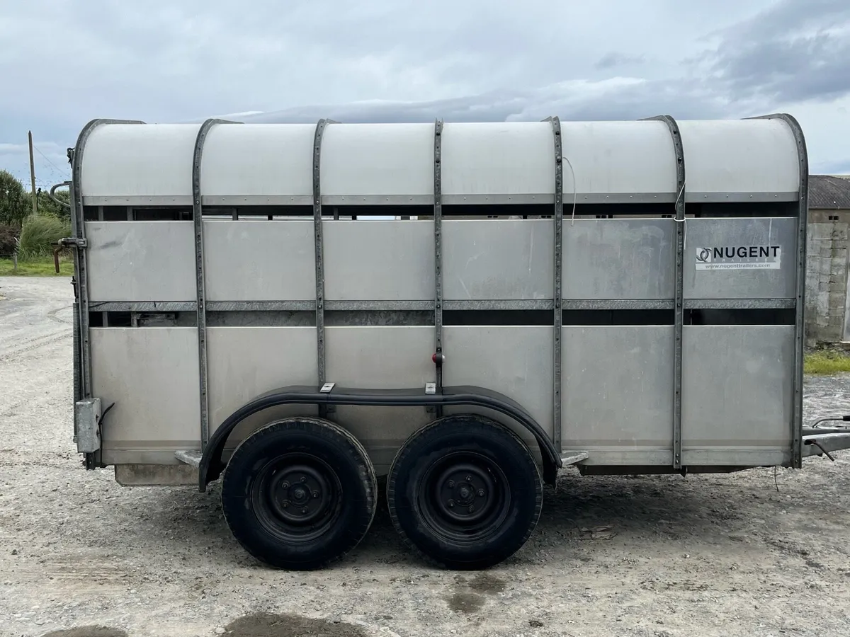 Nugent12x6 - Image 2