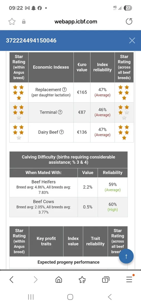 Pedigree Angus team - Image 4