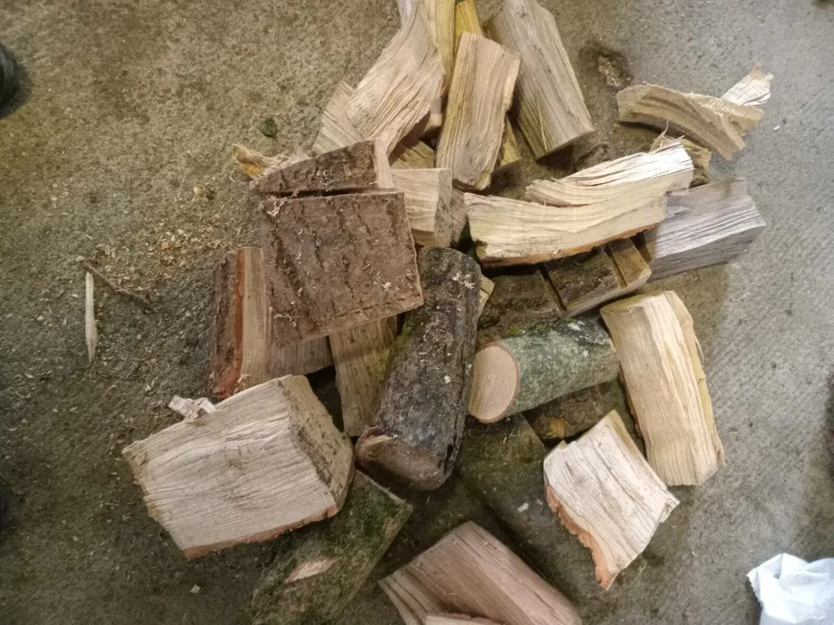 Bags of logs for sale - Image 2