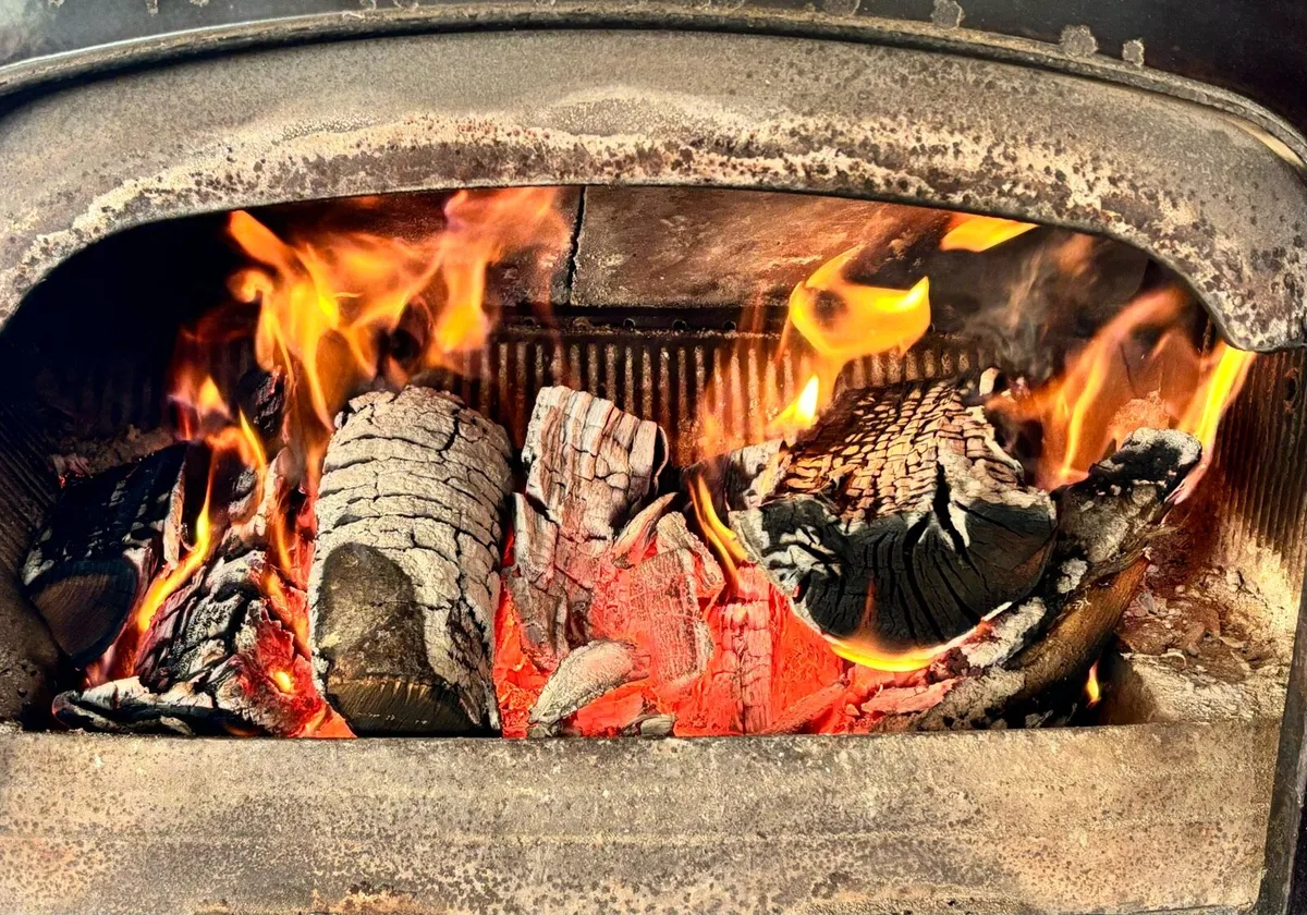 Hardwood logs - Image 1