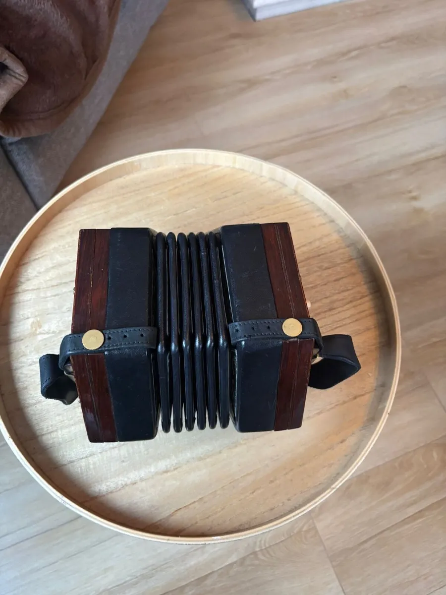 Concertina - Image 3