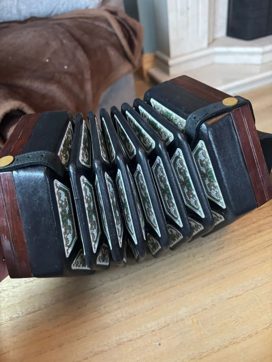 Concertina - Image 4