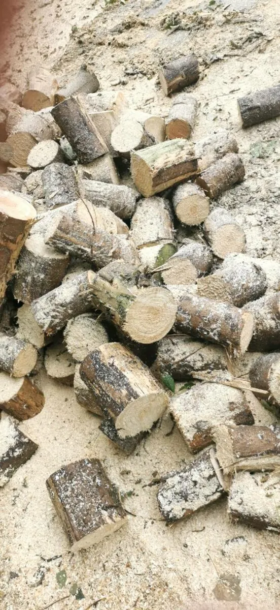 Firewood - Image 4