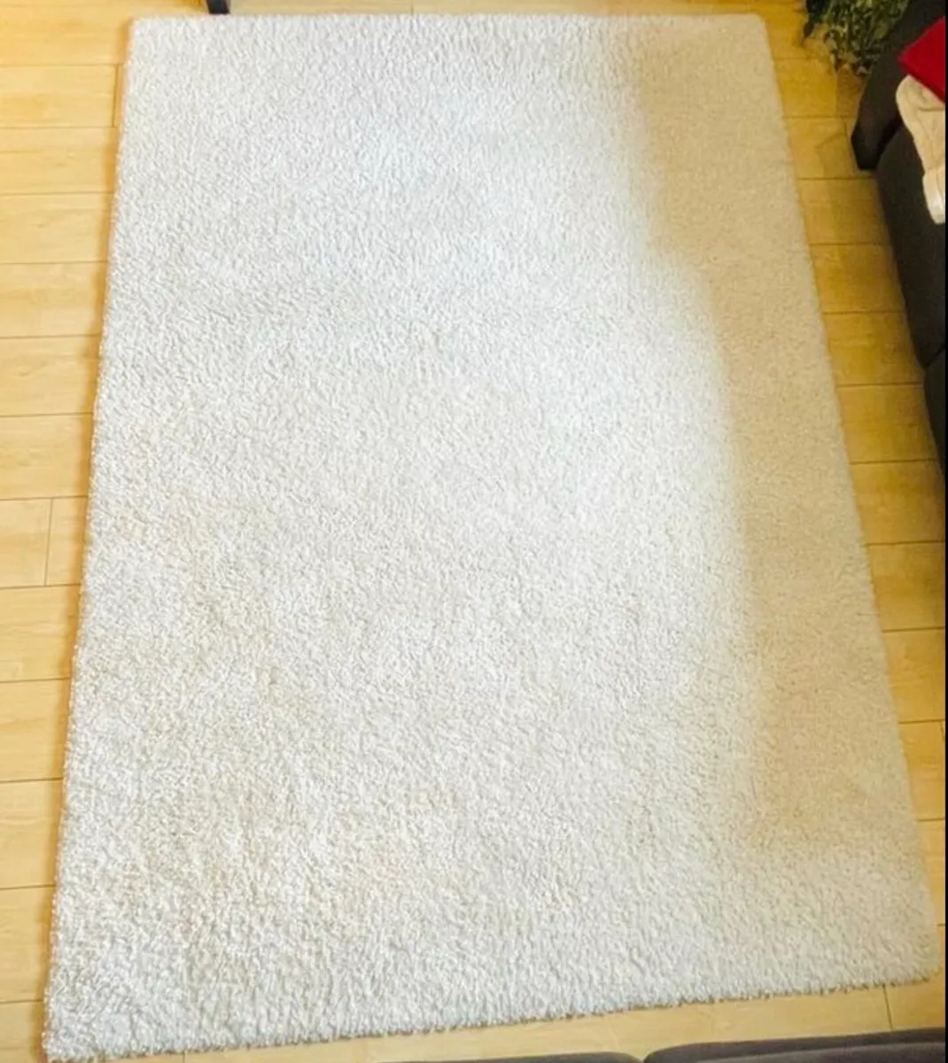 Beautiful Cream Rug – 160x230cm - Image 2