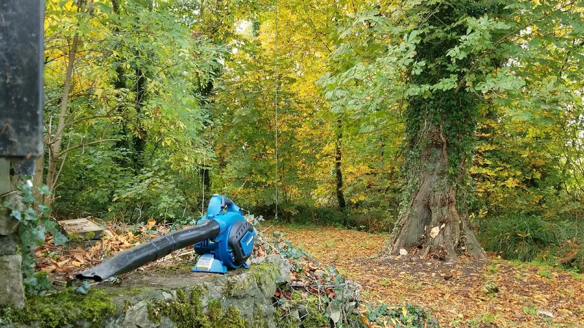 Leaf Blower - Image 1