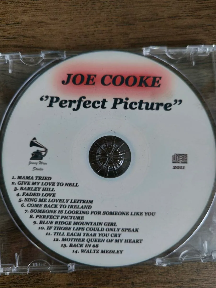 Joe Cooke - Perfect Picture