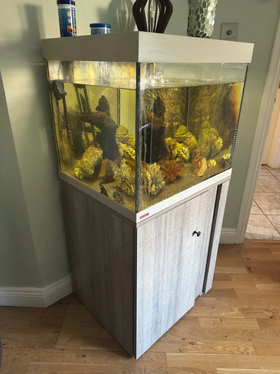 Eheim modern aquarium + Fluval filter - Image 1