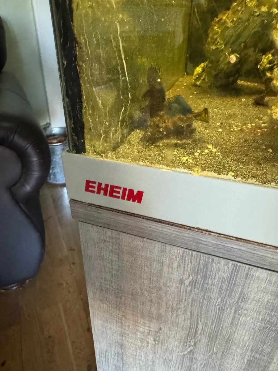 Eheim modern aquarium + Fluval filter - Image 2