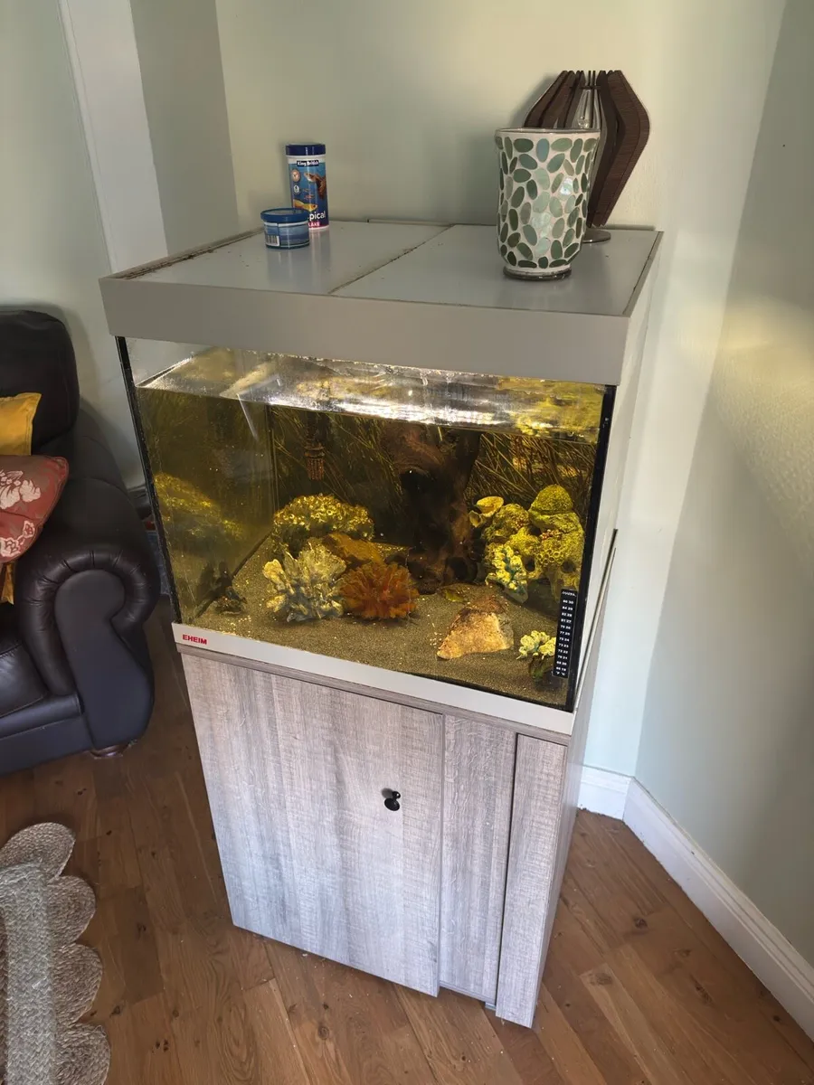 Eheim modern aquarium + Fluval filter - Image 3