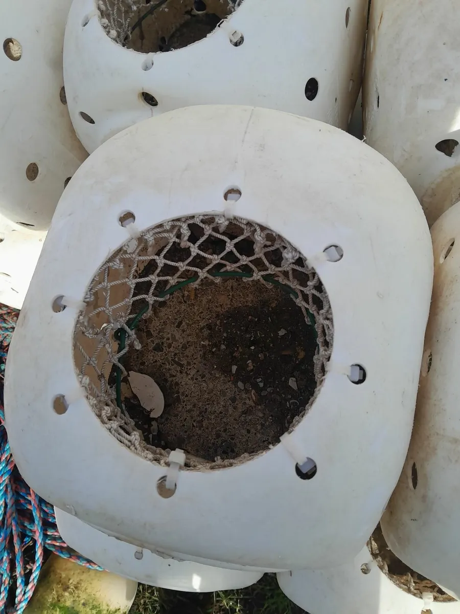 Whelk pots - Image 3