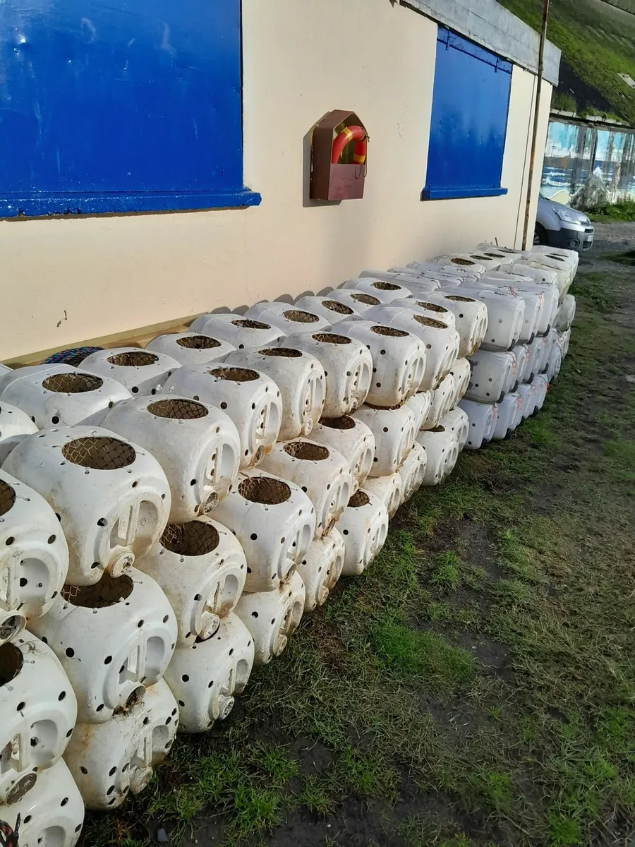 Whelk pots - Image 4