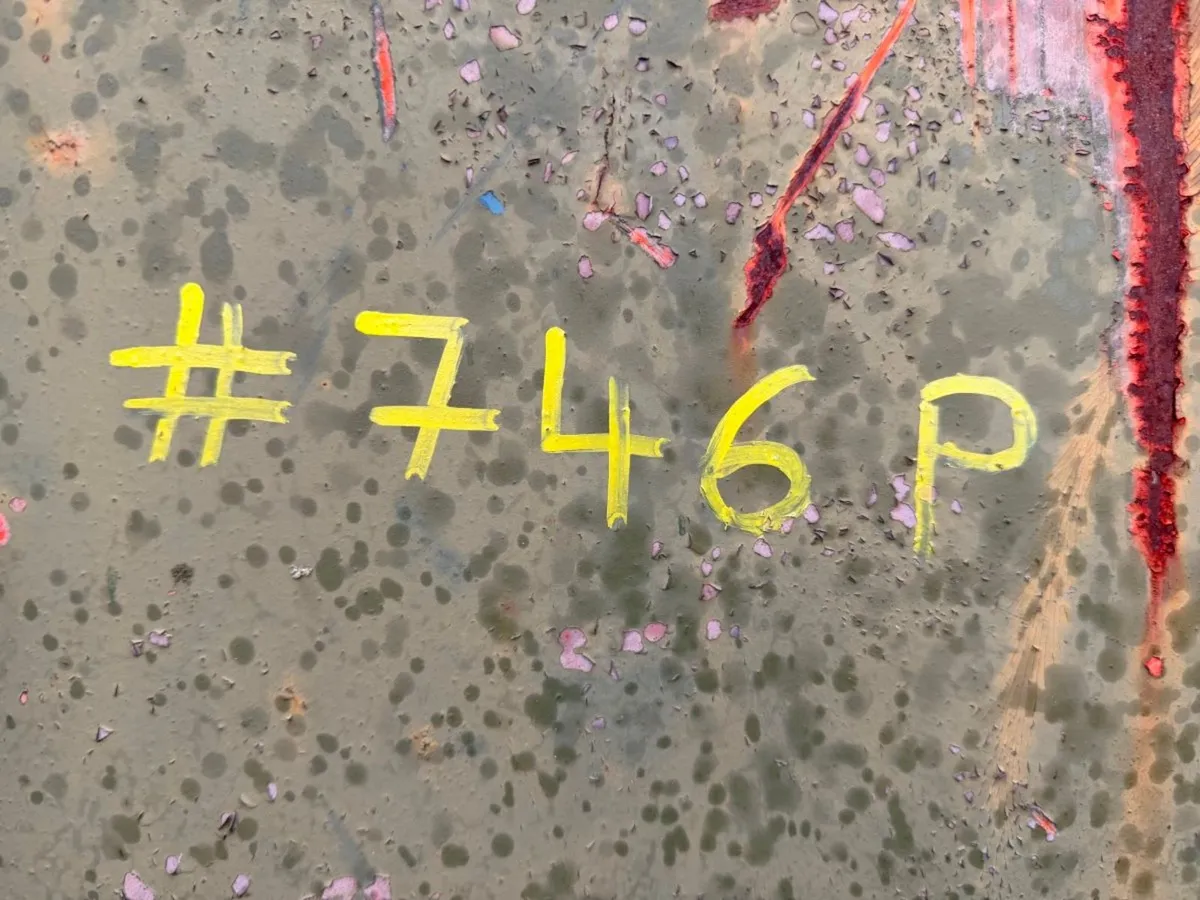 35 / 40 YARD HOOK SKIP BIN ....746P - Image 2