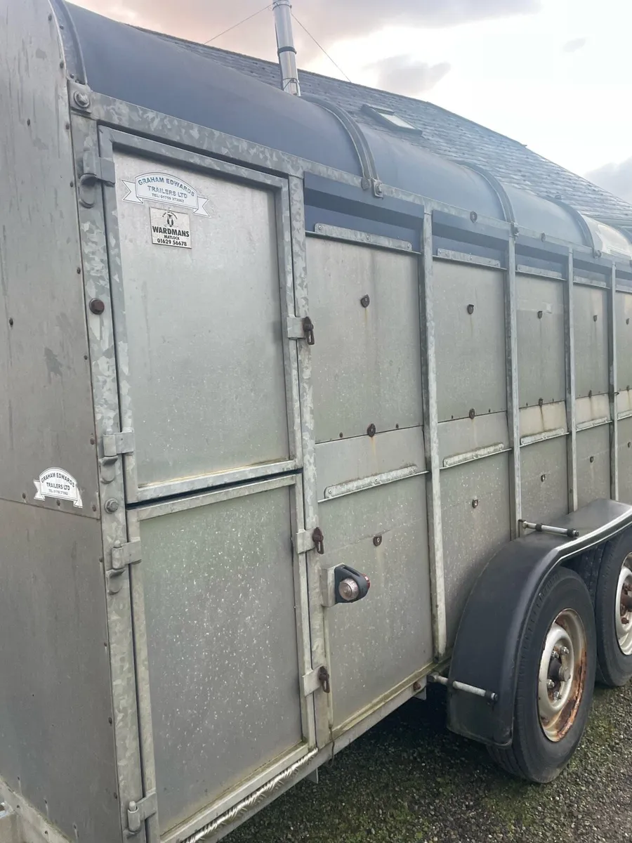 Cattle Trailer - Image 4