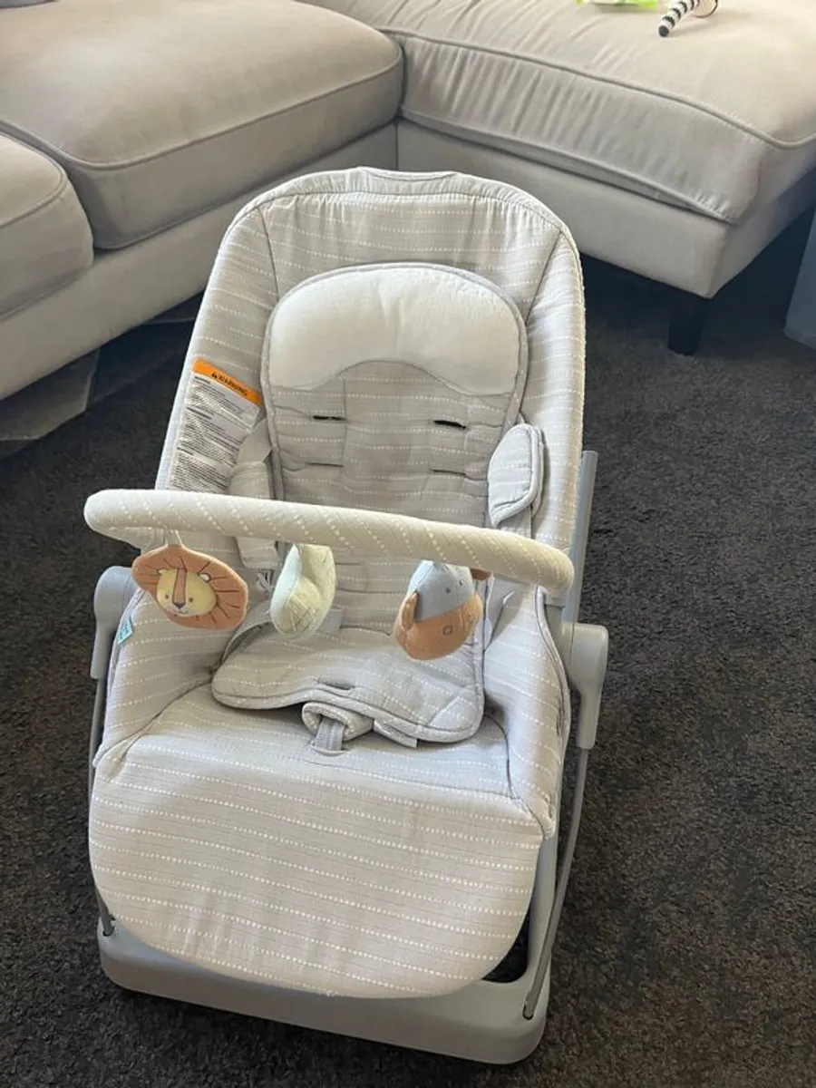 Aden + Anais 3-in-1 Infant to Toddler Seat - Image 1