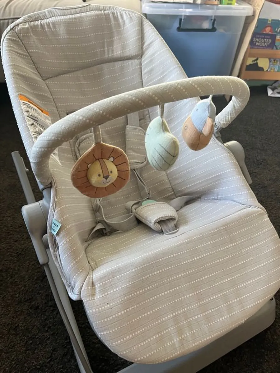 Aden + Anais 3-in-1 Infant to Toddler Seat - Image 2