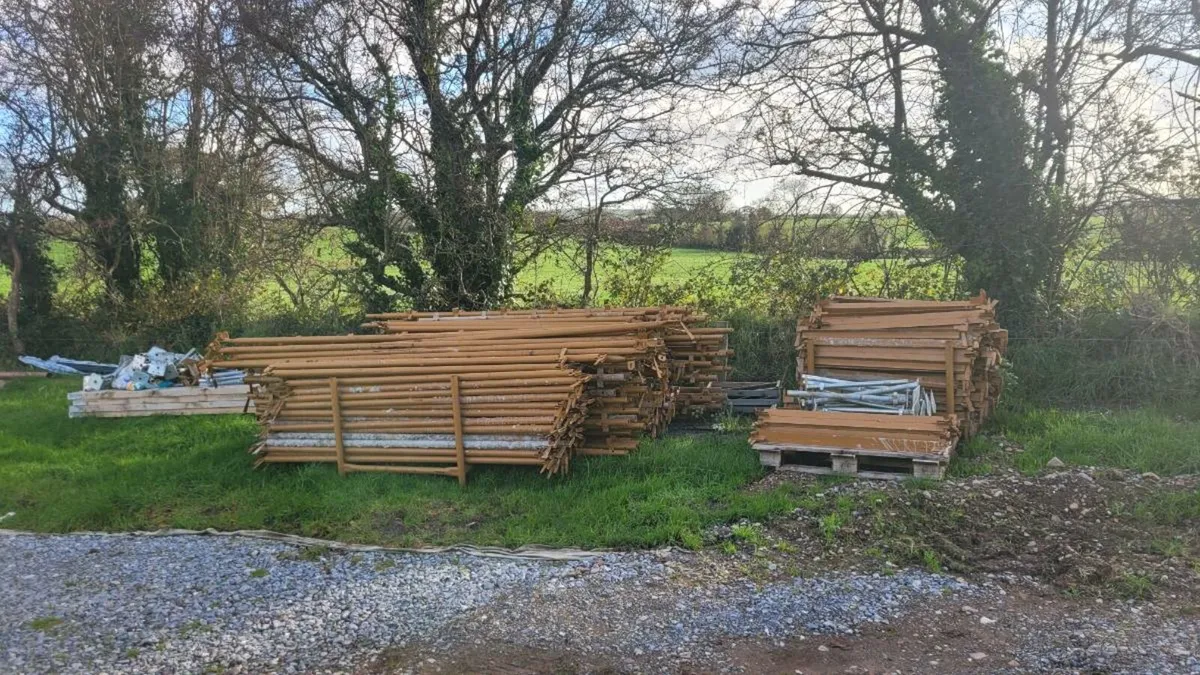 Scaffolding - Image 2