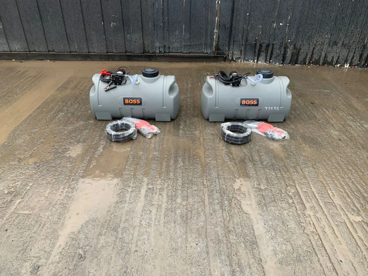 100L Boss Bowser - Image 2