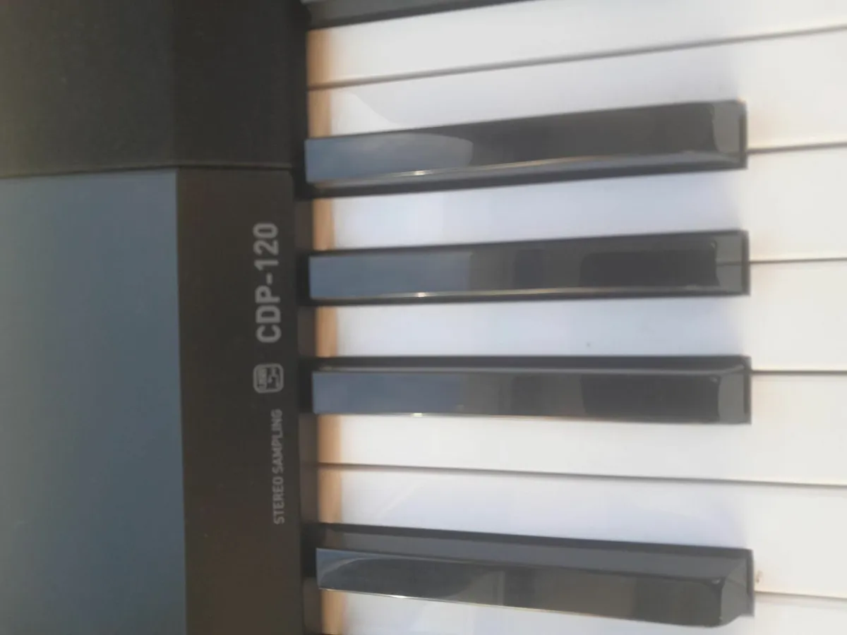 Casio CDP 120 Keyboard - Image 3