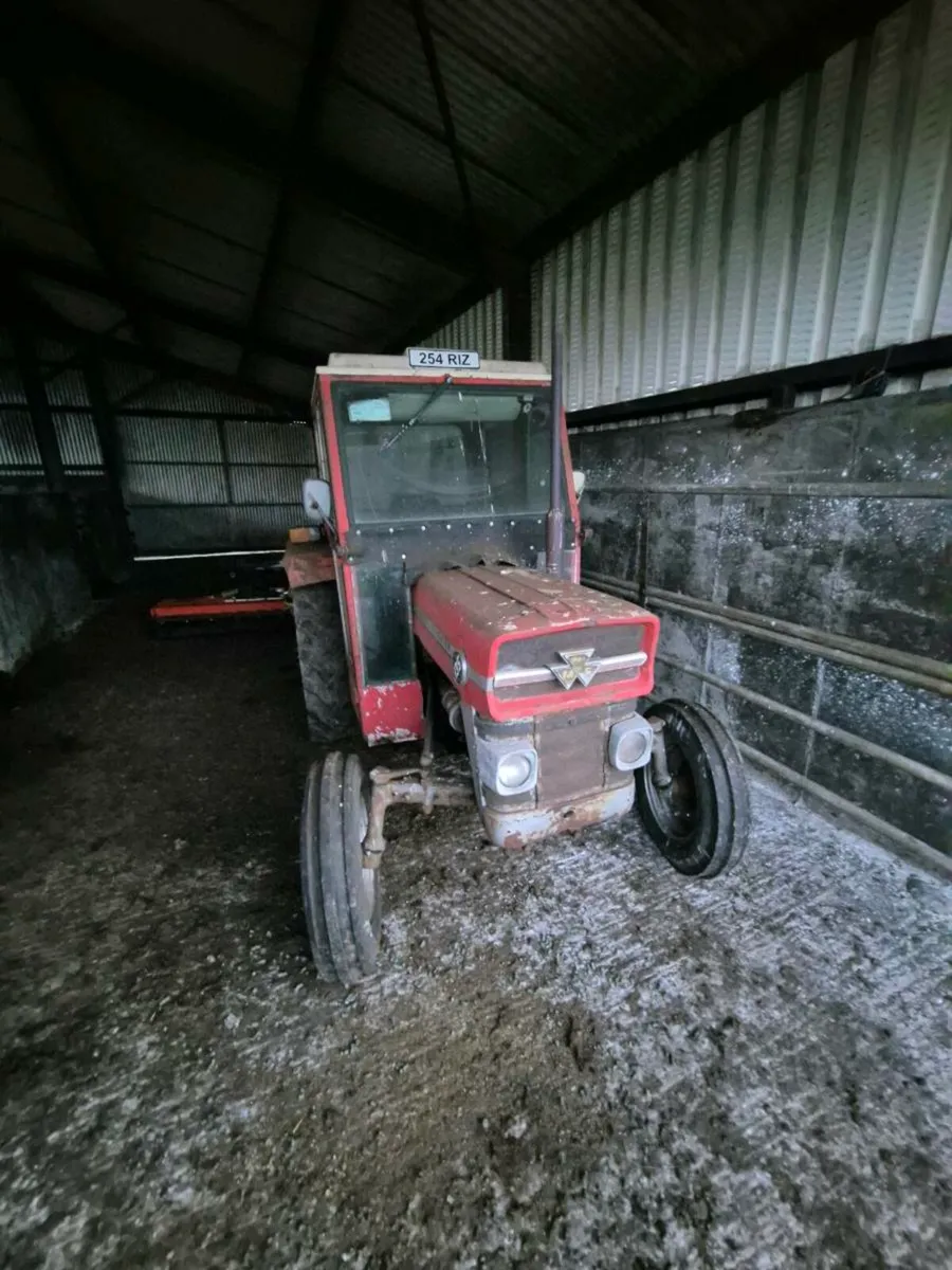 Masses Ferguson 135 - Image 1