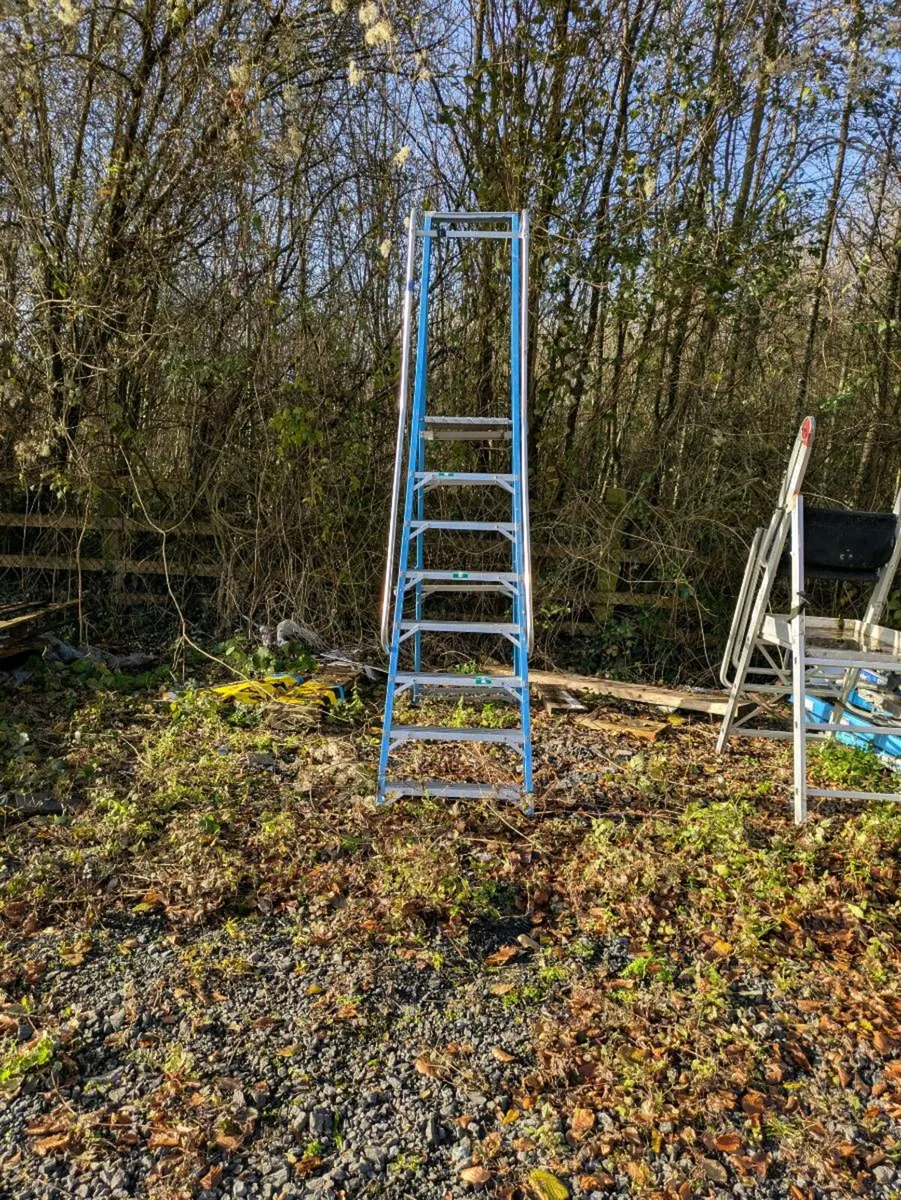 Ladders and platform ladders - Image 1