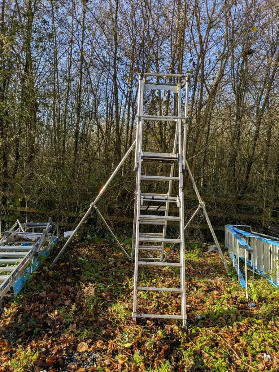 Ladders and platform ladders - Image 2