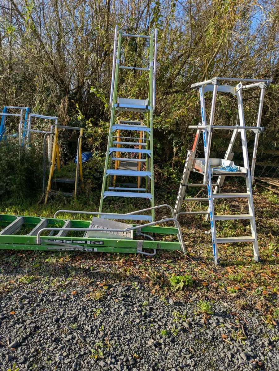 Ladders and platform ladders - Image 4