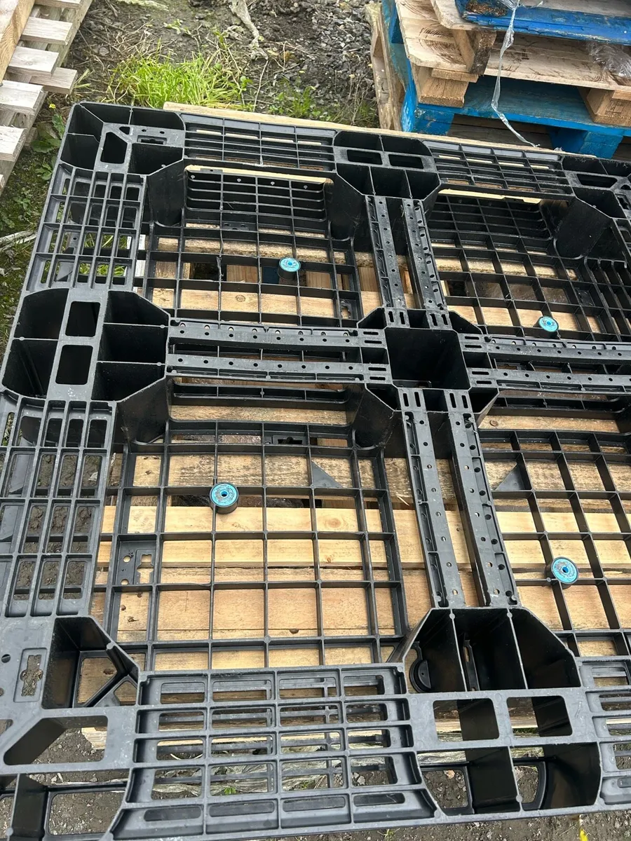 Plastic Pallets - Image 2