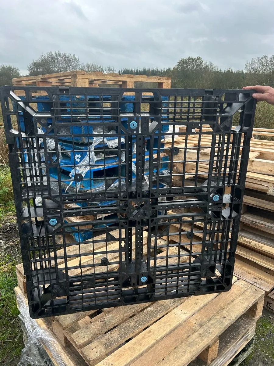Plastic pallets - Image 1
