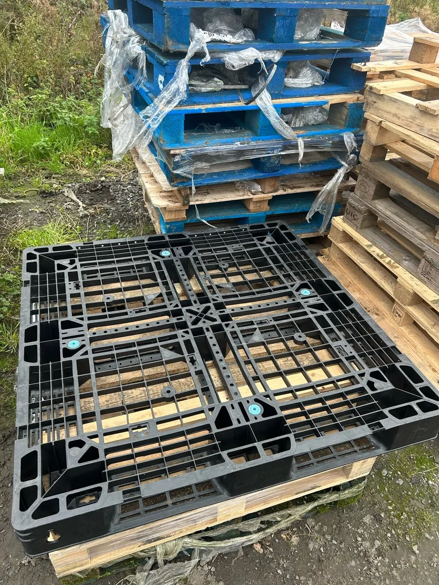 Plastic pallets - Image 3
