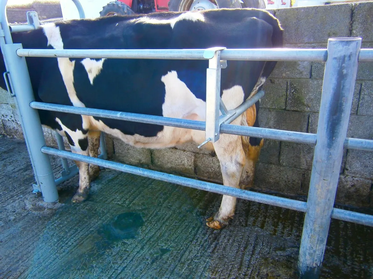 Anti Backing Crush Bar - Image 4