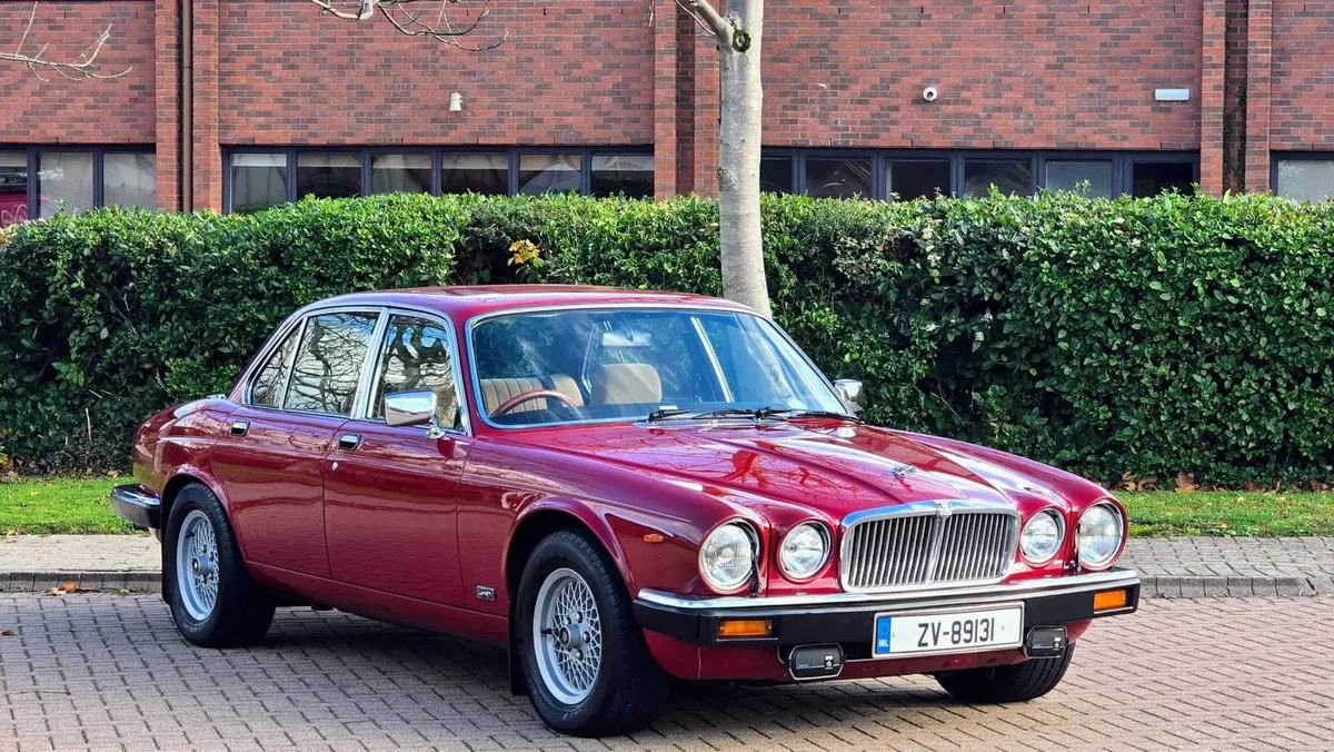 1981 Jaguar XJ6 4.2 - Superb condition - Image 1