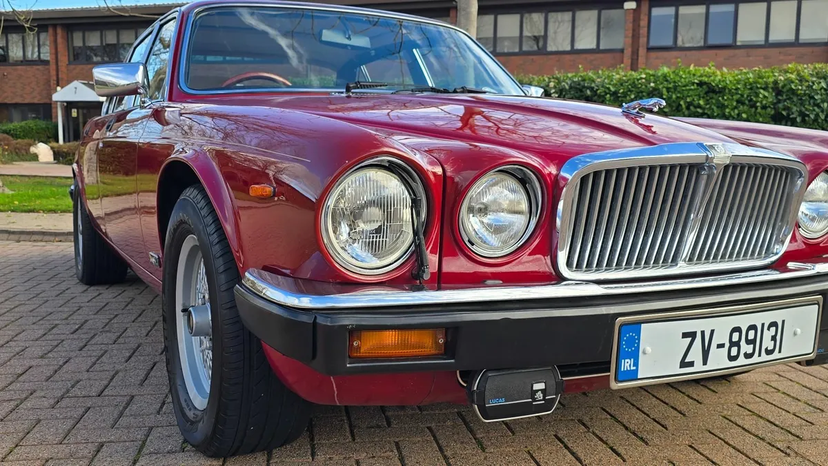 1981 Jaguar XJ6 4.2 - Superb condition - Image 2