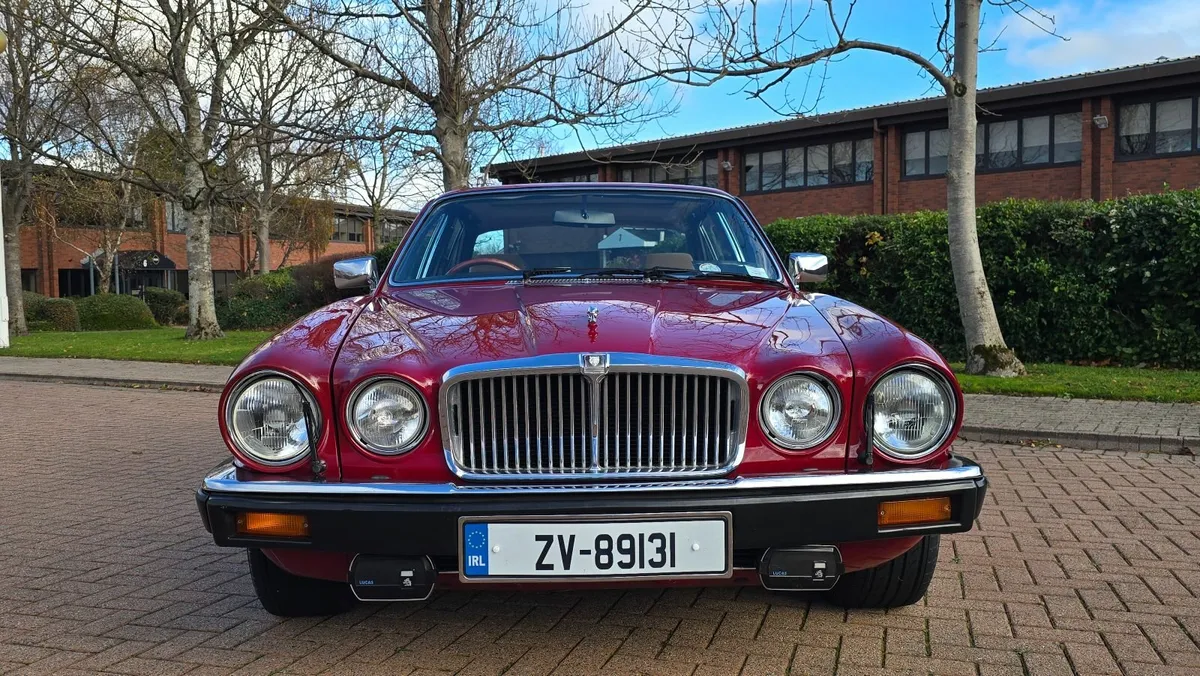 1981 Jaguar XJ6 4.2 - Superb condition - Image 3