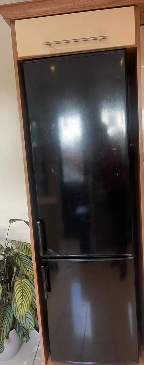 Belling Fridge Freezer - Image 1
